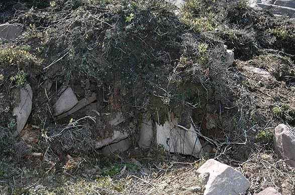 Promontorio erosionado, mostrando entramado de bloques areniscos. (P. Heras)
